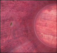 1630911251392625.png image.png